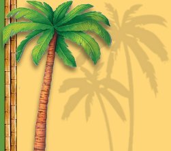 tropical bedrooms palm tree decor