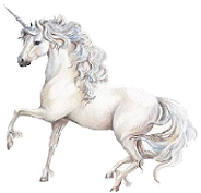 unicorn wall decal stickers - unicor murals - Unicorn Theme Bedrooms - princess theme bedrooms - unicorn bedroom decorating ideas -  fantasy themed bedrooms