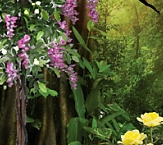 Forest wallpaper mural s  Wisteria Tree faux fur plants silk plants 